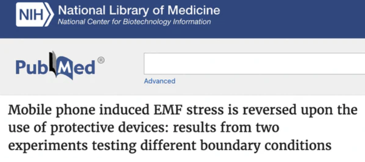 Scientific Evidence Supporting Shungite's Properties