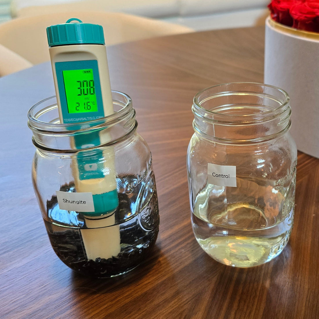 Proof That Shungite Reduces Oxidative Stress in Water (And How You Can Test It at Home)