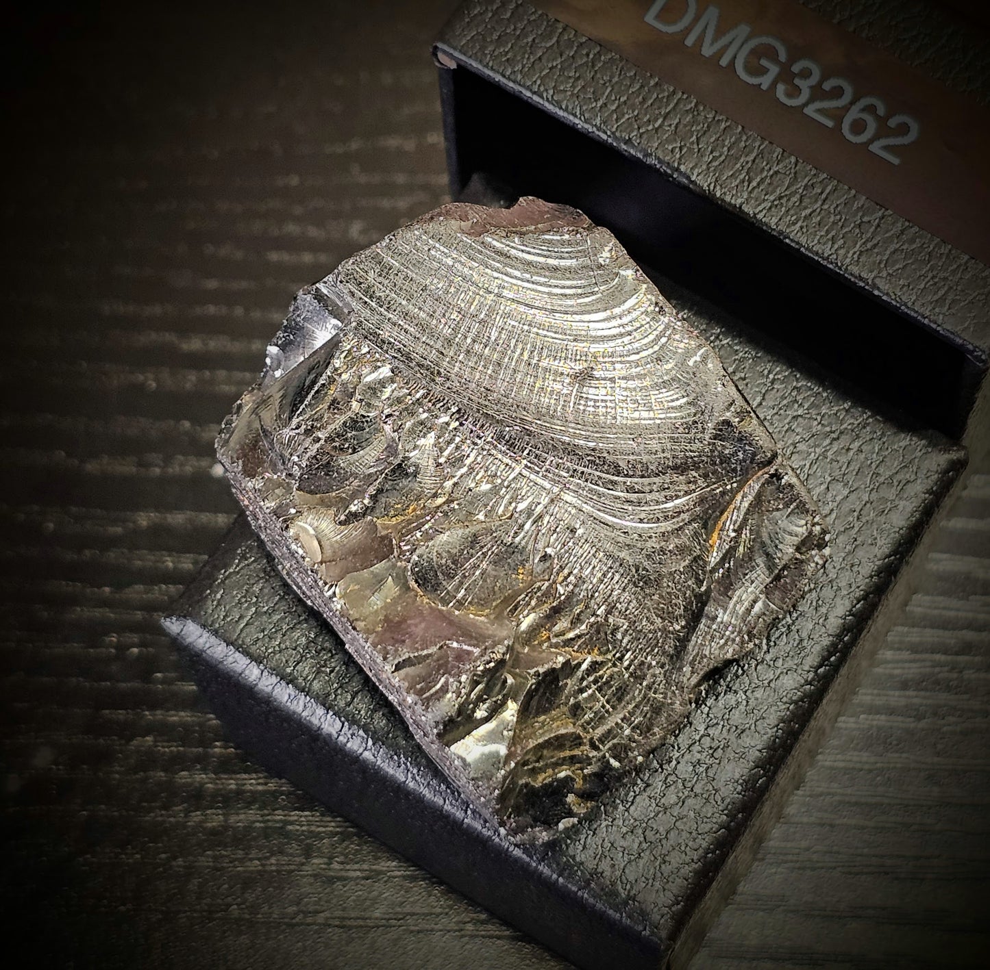 DMG3262 DEEP MINE ELITE TYPE 1 NOBLE SHUNGITE 32.62g