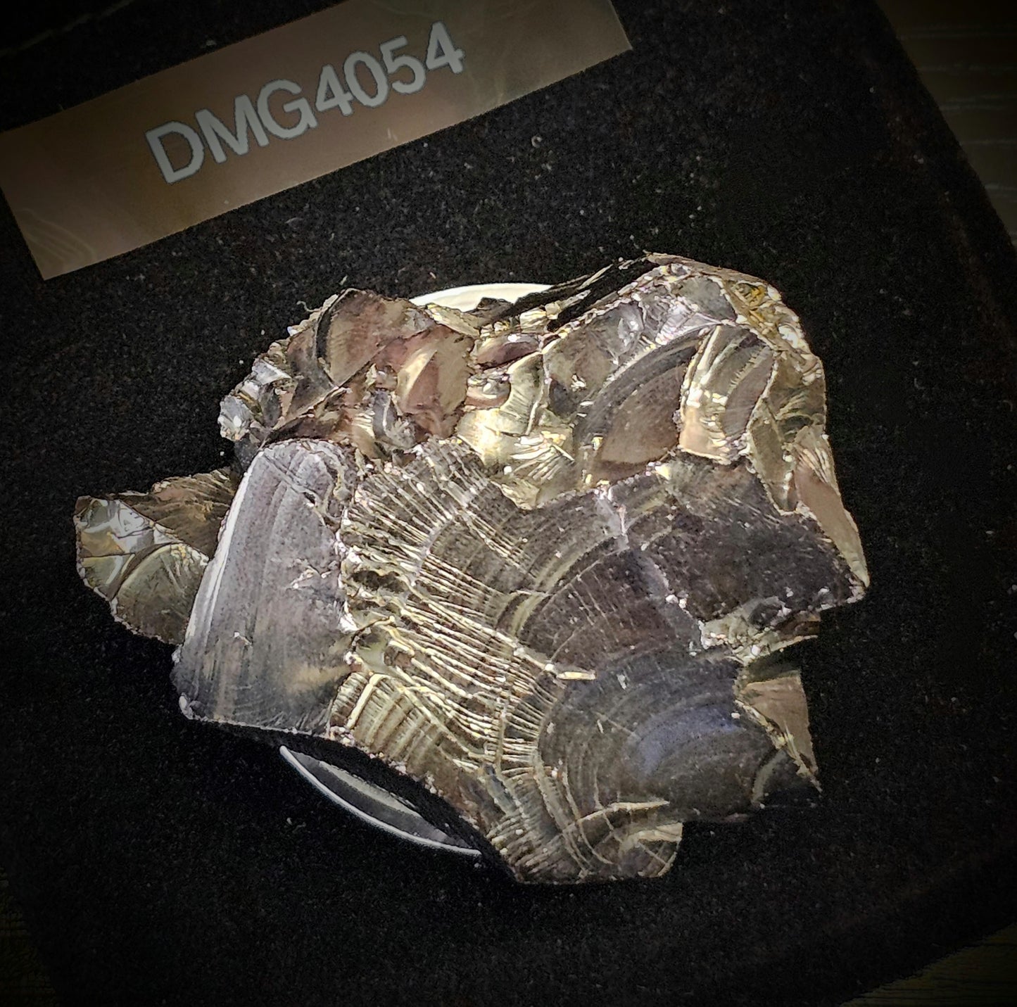 DMG4054 DEEP MINE ELITE TYPE 1 NOBLE SHUNGITE 40.54g