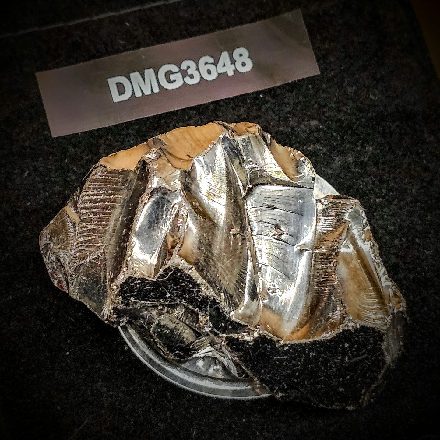 DMG3648 DEEP MINE ELITE TYPE 1 NOBLE SHUNGITE 36.48g