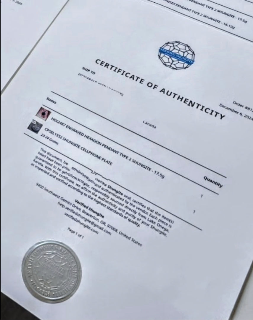 DMG 4337-DEEP MINE ELITE TYPE 1 NOBLE SHUNGITE 43.37g