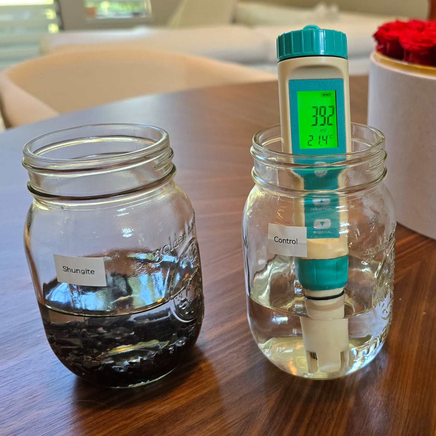 Shungite Water Tube Diffuser