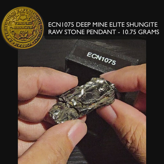 ECN1075 - 10.75g ELITE RAW TYPE 1 SHUNGITE PENDANT NECKLACE