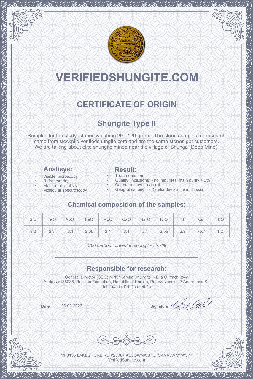 BW2866 TYPE 2 SHUNGITE LG BEADED BRACELET