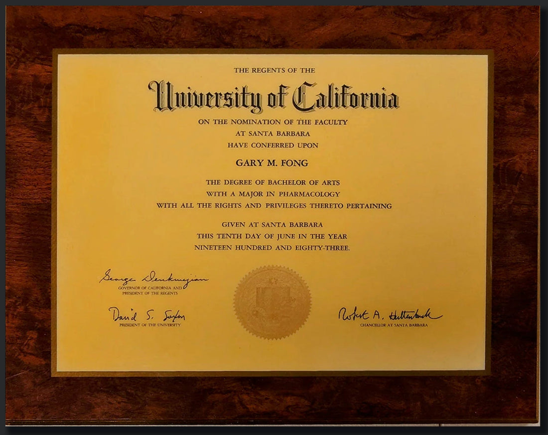 My Academic Background