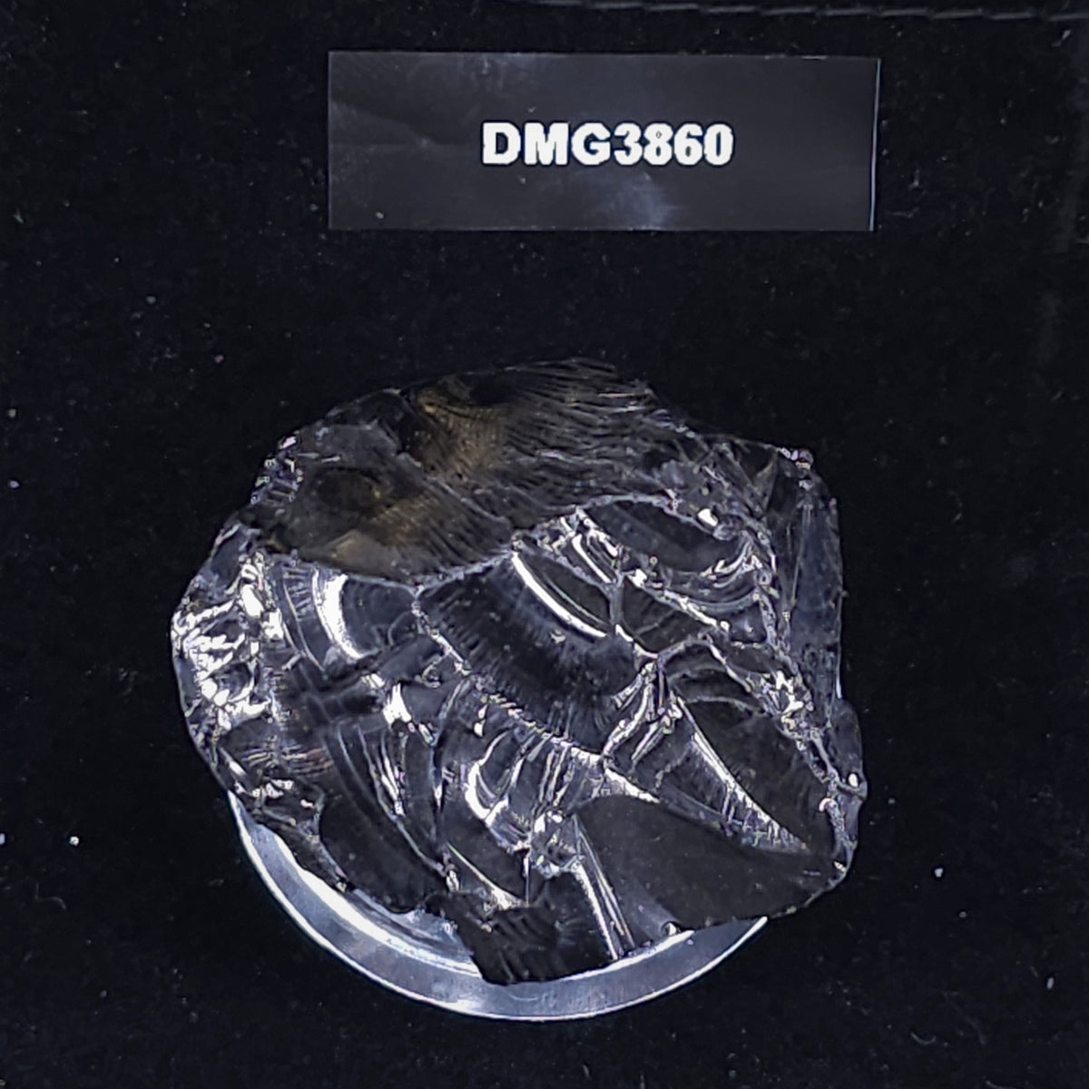 DMG 3860-DEEP MINE ELITE TYPE 1 NOBLE SHUNGITE 38.60g