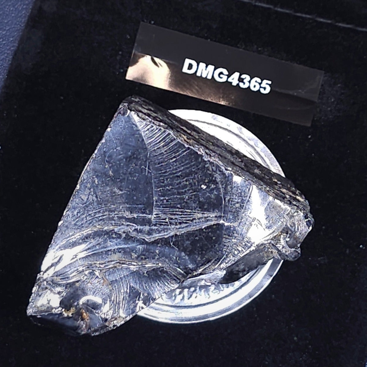 DMG 4365-DEEP MINE ELITE TYPE 1 NOBLE SHUNGITE 43.65g