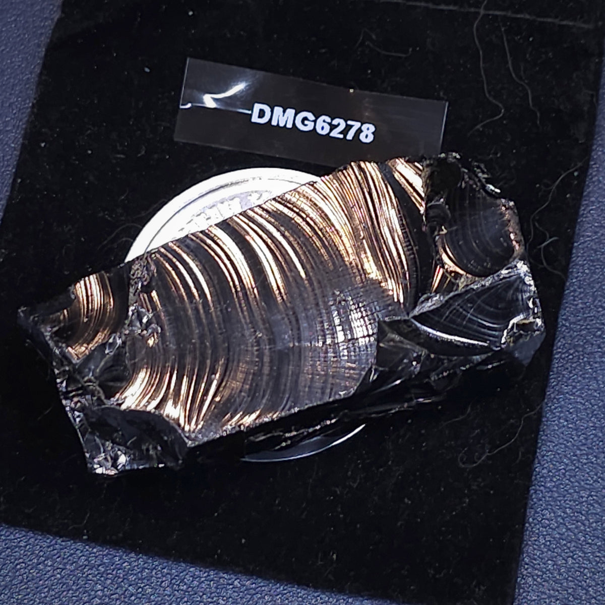 DMG 6278-DEEP MINE ELITE TYPE 1 NOBLE SHUNGITE 62.78g