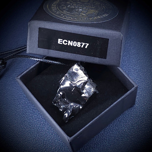 ECN 0877 - 8.77g ELITE RAW TYPE 1 SHUNGITE PENDANT NECKLACE
