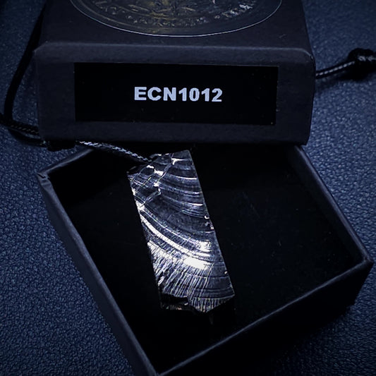 ECN 1012 - 10.12g ELITE RAW TYPE 1 SHUNGITE PENDANT NECKLACE