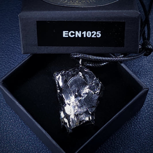 ECN 1025 - 10.25g ELITE RAW TYPE 1 SHUNGITE PENDANT NECKLACE