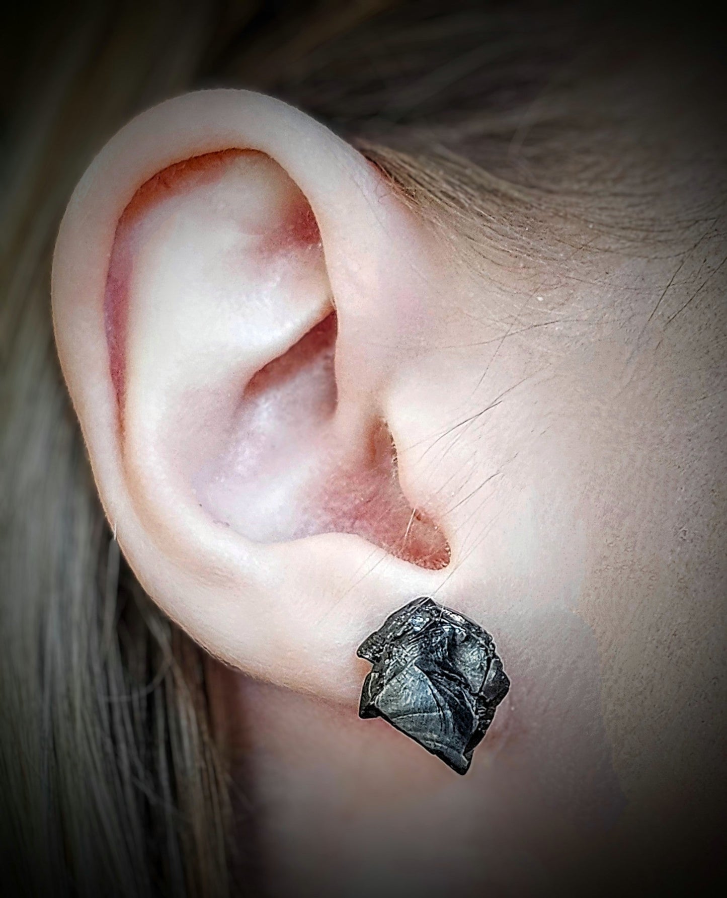 ER232 Type 1 Raw Shungite Earrings Set