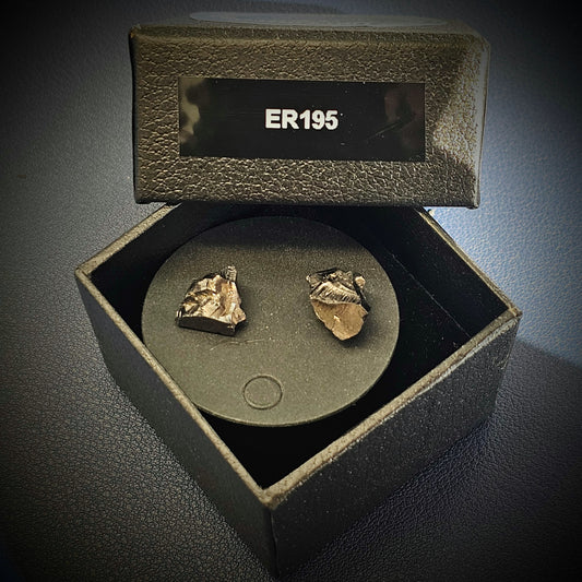 ER195 Type 1 Raw Shungite Earrings Set