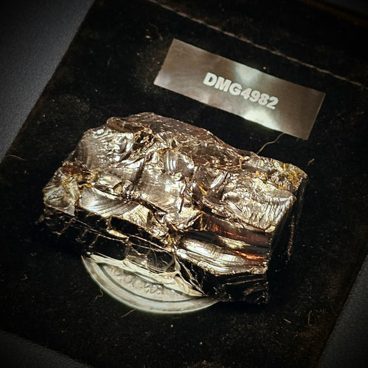 DMG4982-DEEP MINE ELITE TYPE 1 NOBLE SHUNGITE 49.82g