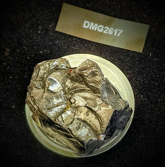 DMG2617-DEEP MINE ELITE TYPE 1 NOBLE SHUNGITE 26.17g