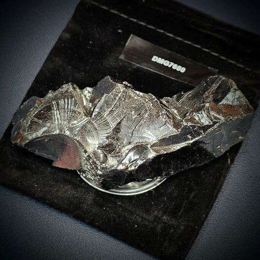 DMG7600-DEEP MINE ELITE TYPE 1 NOBLE SHUNGITE 76g