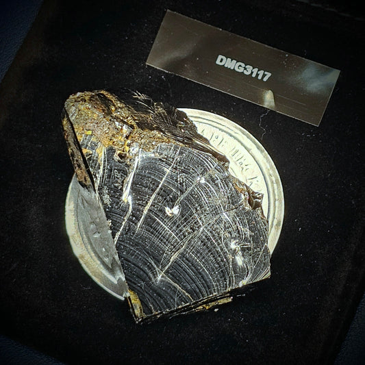 DMG3117-31.17g DEEP MINE ELITE TYPE 1 NOBLE SHUNGITE