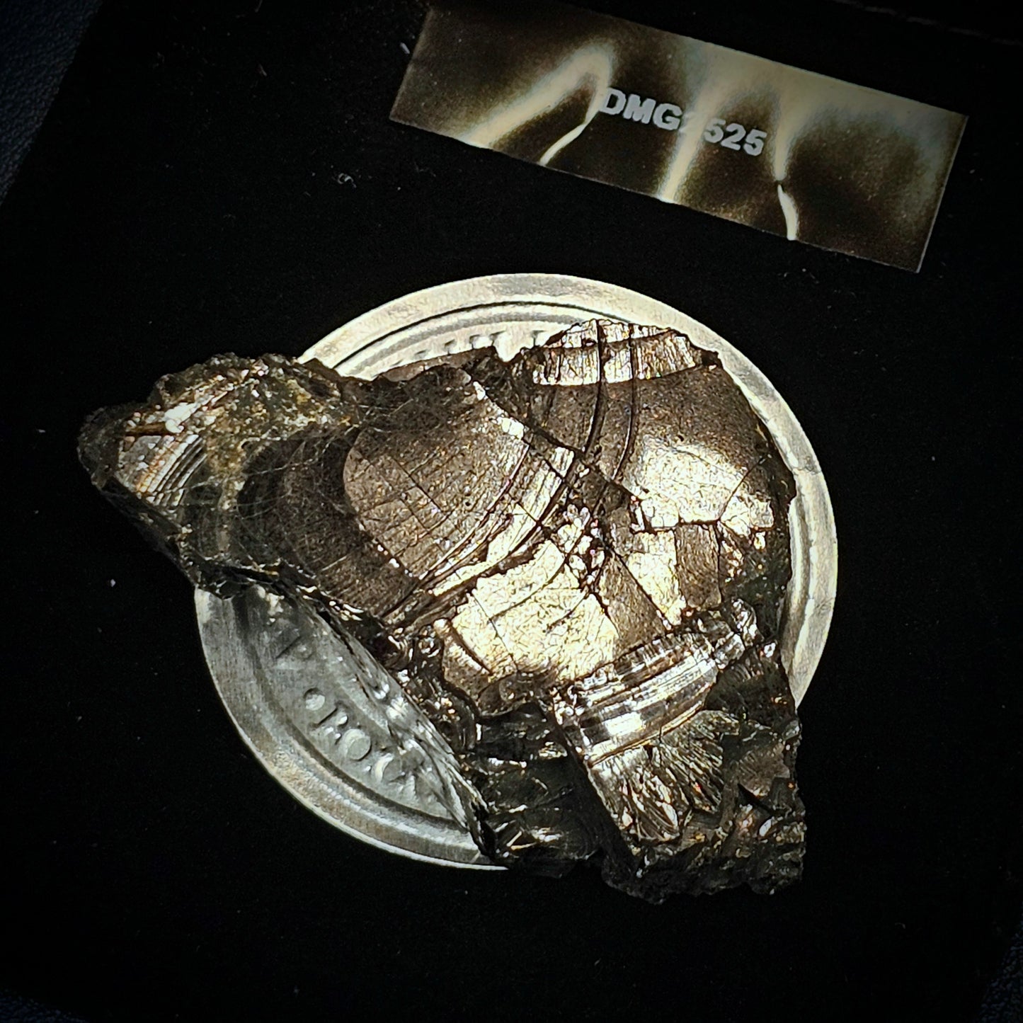 DMG2525-25.25g DEEP MINE ELITE TYPE 1 NOBLE SHUNGITE