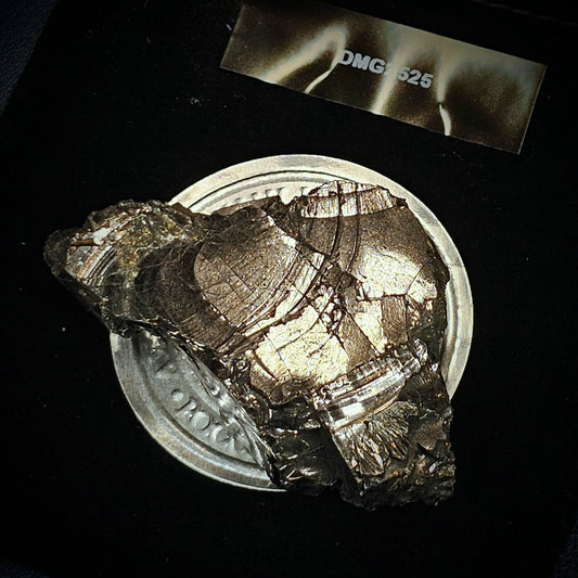 DMG2525-25.25g DEEP MINE ELITE TYPE 1 NOBLE SHUNGITE