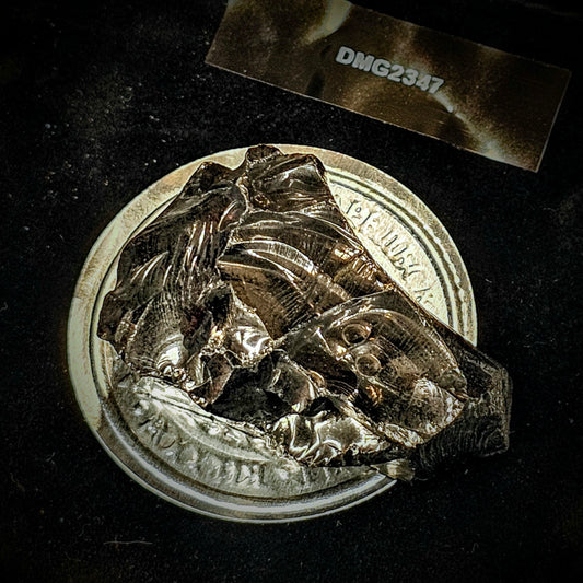 DMG2347-23.47g DEEP MINE ELITE TYPE 1 NOBLE SHUNGITE