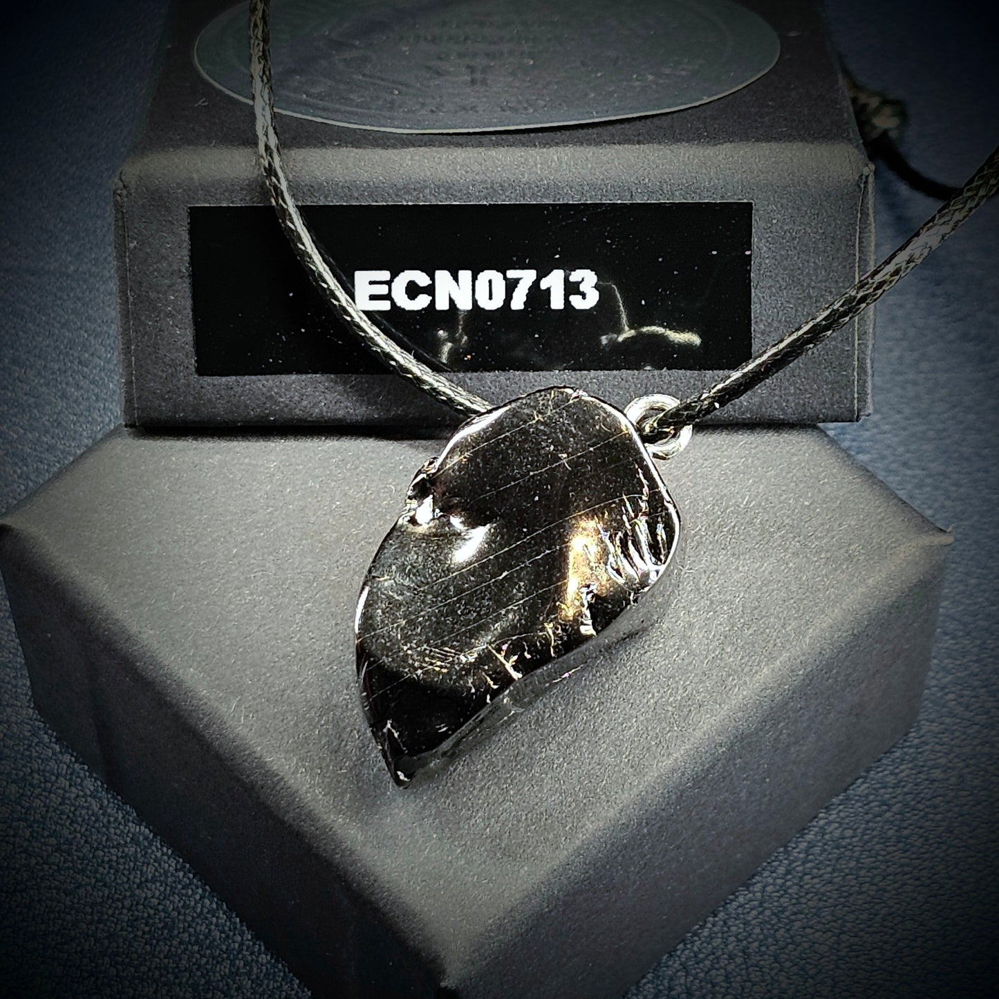 ECN0713-7.13g ELITE RAW TYPE 1 SHUNGITE PENDANT NECKLACE