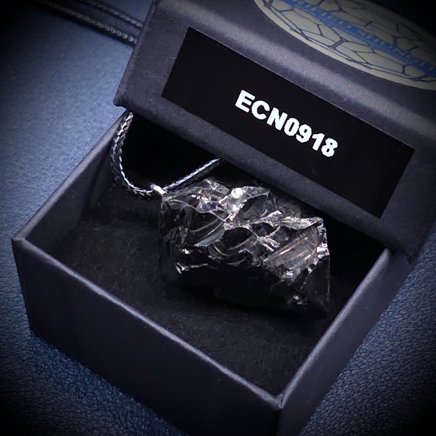 ECN0918 - 9.18g ELITE RAW TYPE 1 SHUNGITE PENDANT NECKLACE