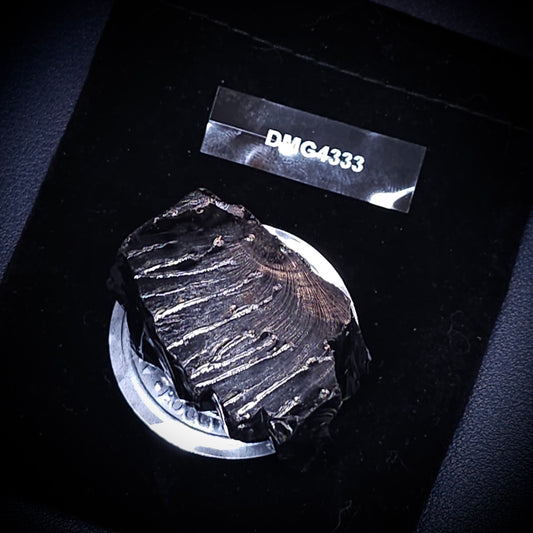 DMG 4333-DEEP MINE ELITE TYPE 1 NOBLE SHUNGITE 43.33g