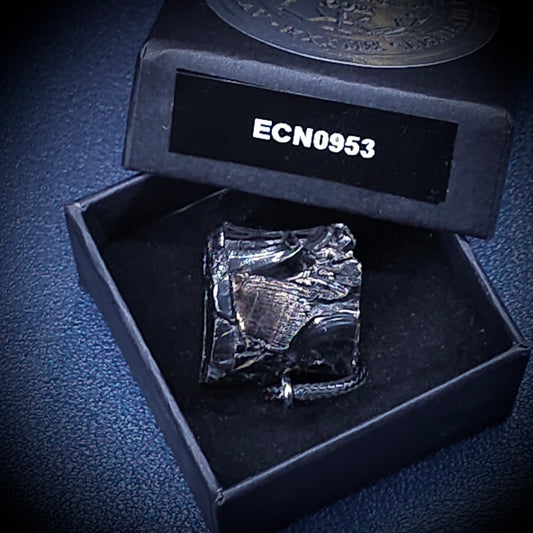 ECN 0953 - 9.53g ELITE RAW TYPE 1 SHUNGITE PENDANT NECKLACE