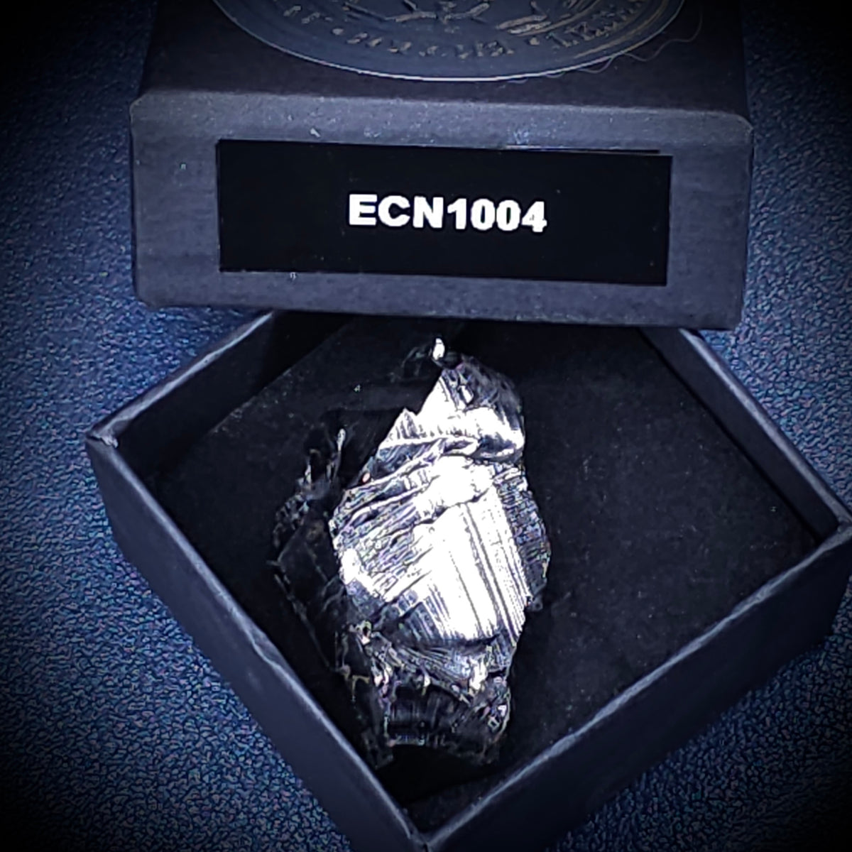 ECN 1004 - 10.04g ELITE RAW TYPE 1 SHUNGITE PENDANT NECKLACE