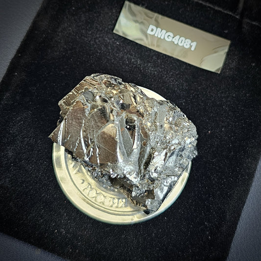 DMG4081-DEEP MINE ELITE TYPE 1 NOBLE SHUNGITE 40.81g