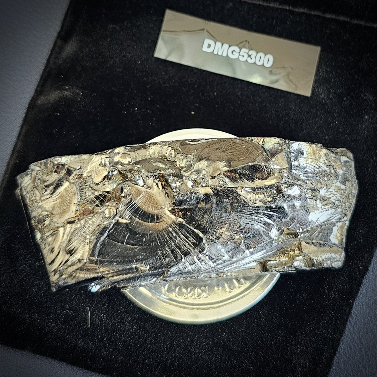 DMG 5300-DEEP MINE ELITE TYPE 1 NOBLE SHUNGITE 53g