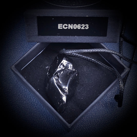 ECN 0623 - 6.23g ELITE RAW TYPE 1 SHUNGITE PENDANT NECKLACE