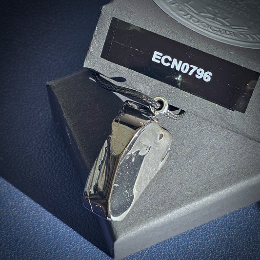 ECN0796 - 7.96g DEEP MINE ELITE TYPE 1 NOBLE SHUNGITE PENDANT