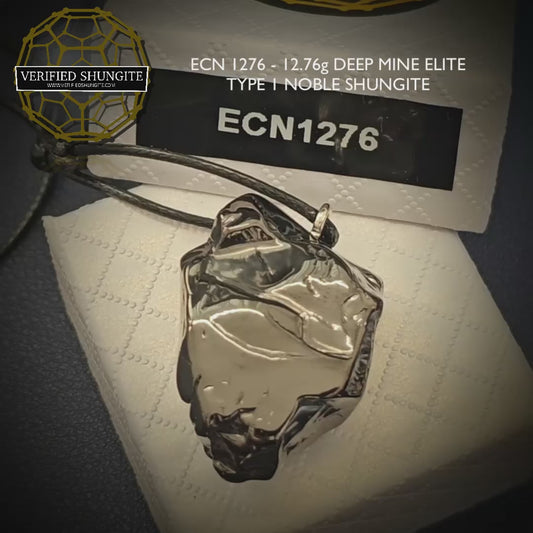 ECN1276 - 12.76 ELITE RAW TYPE 1 SHUNGITE PENDANT NECKLACE