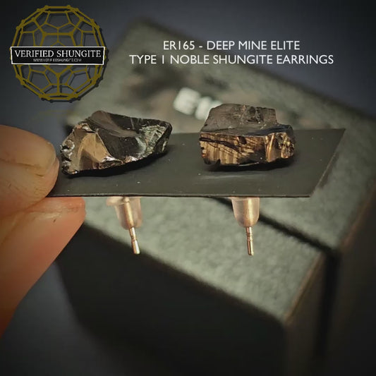 ER165 Type 1 Raw Shungite Earrings Set