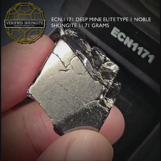 ECN1171-11.71g ELITE RAW TYPE 1 SHUNGITE PENDANT NECKLACE