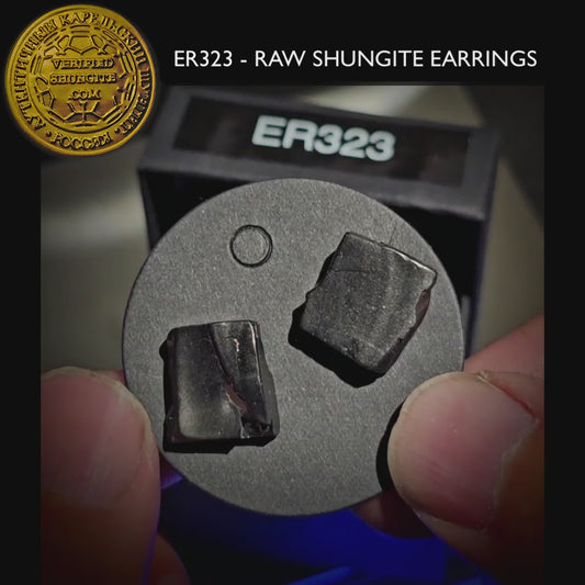 ER323 -  Type 1 Raw Shungite Earrings Set