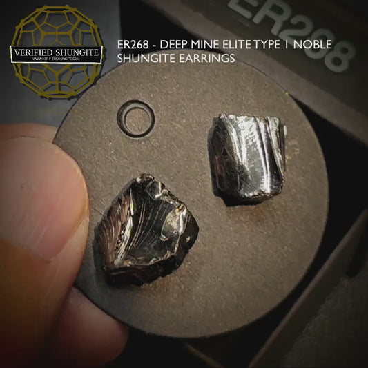 ER268 Type 1 Raw Shungite Earrings Set