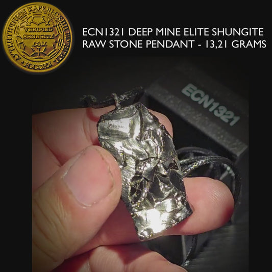ECN1321 - 13.21g ELITE RAW TYPE 1 SHUNGITE PENDANT NECKLACE