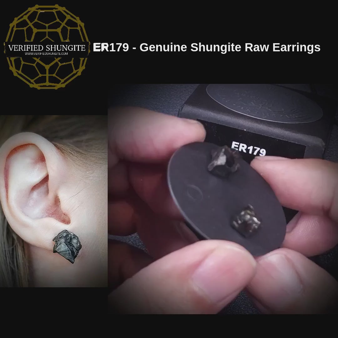 ER179 genuine Type 1 raw shungite earrings