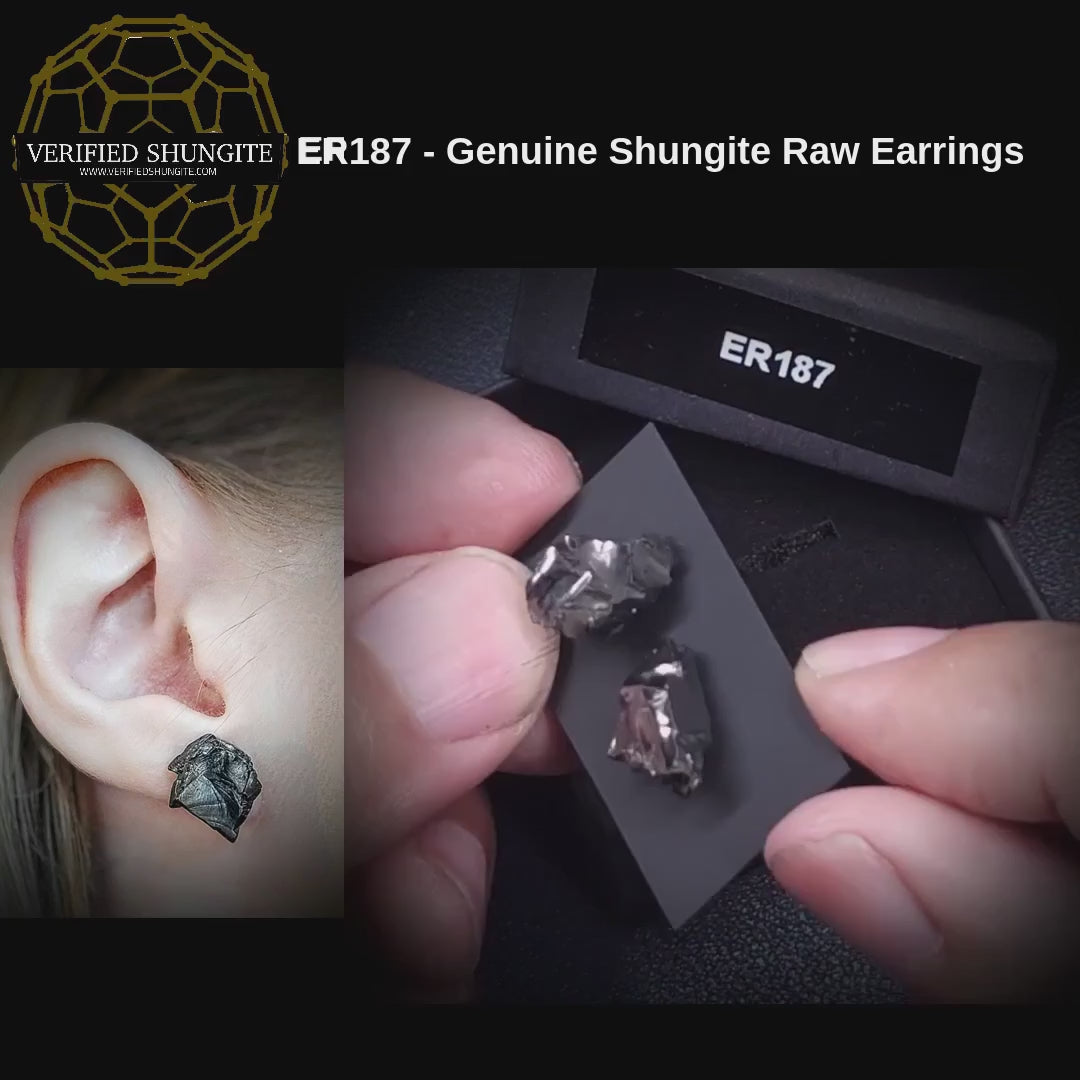 ER187 genuine Type 1 raw shungite earrings