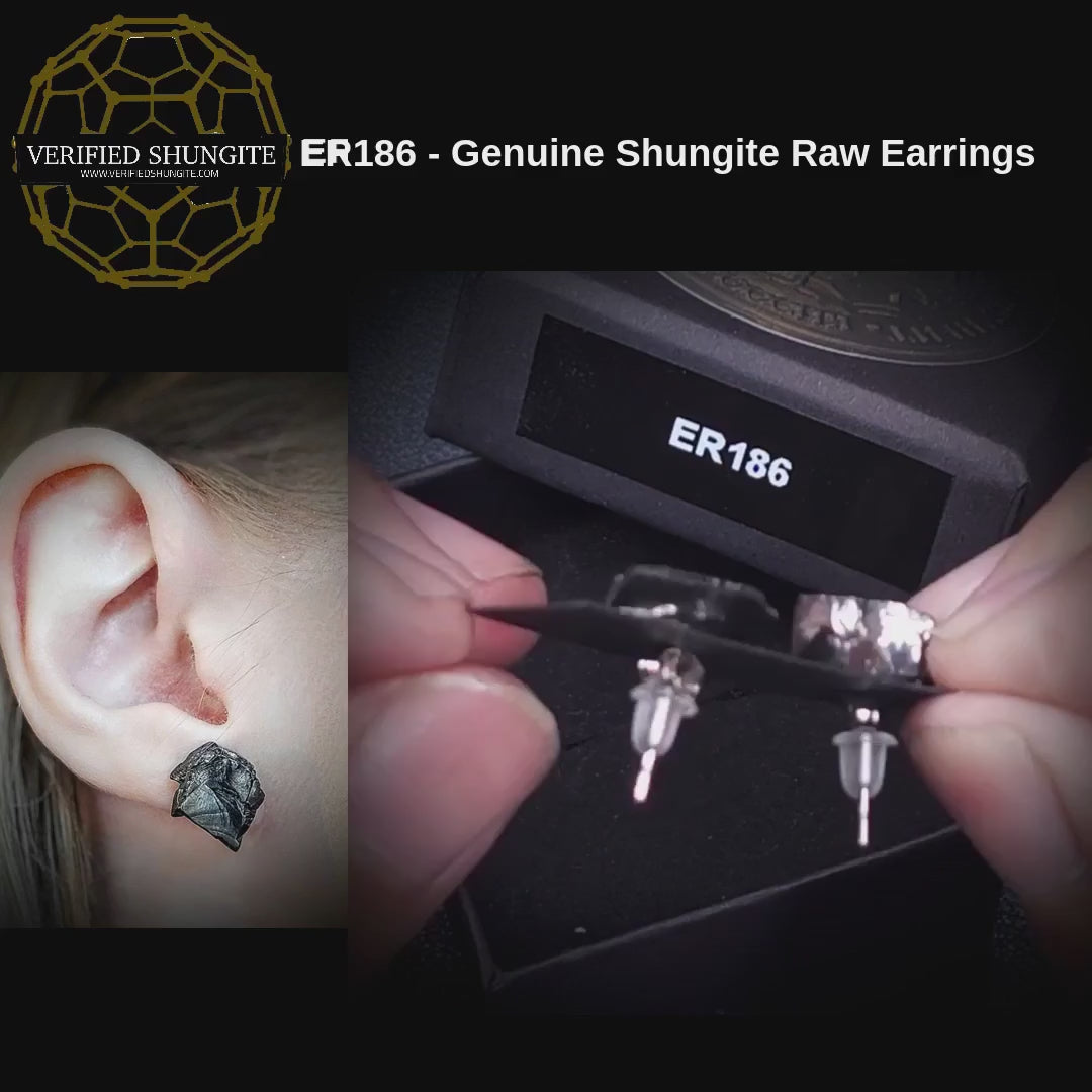 ER186 genuine Type 1 raw shungite earrings