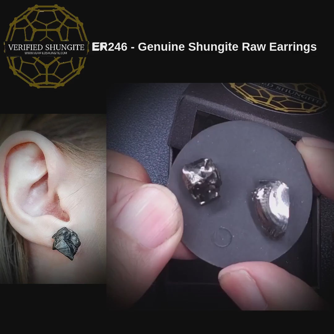 ER246 genuine Type 1 raw shungite earrings