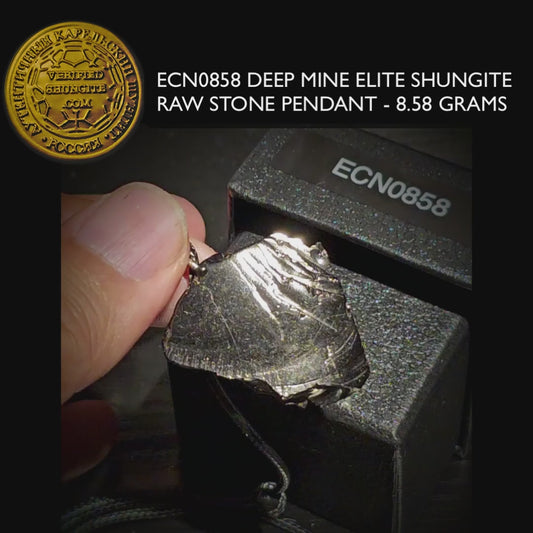 ECN0858 - 8.58g ELITE RAW TYPE 1 SHUNGITE PENDANT NECKLACE